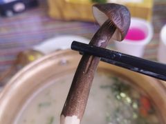 -慢丽江·云南野生菌土鸡锅(付家庄店)