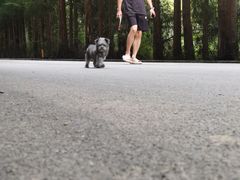 -山王坪喀斯特国家生态公园