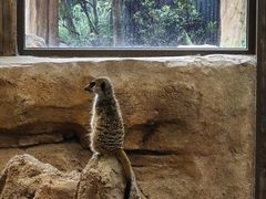 -香港海洋公园
