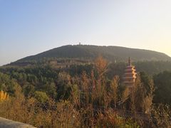 -中原大佛景区