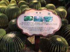 -南山植物园