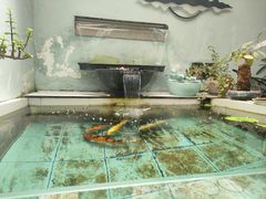 -老石黑山羊毛驴肉火锅(金凯广场店)