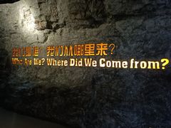 -国家自然博物馆