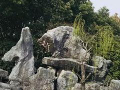 -南汇桃花村