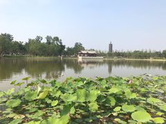-西海子公园