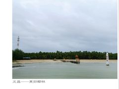 -东郊椰林