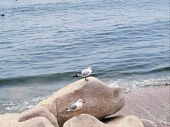 -老虎石海上公园