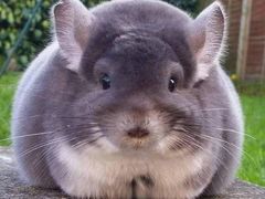 -1点点(河南中路店)