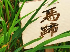 -荔湾湖公园