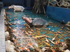 -成都浩海立方海洋公园