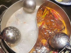 -淼福猪肚鸡·椰子鸡火锅(大沙地店)