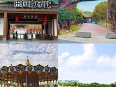 -阿露佳·舌尖上的安吉菜