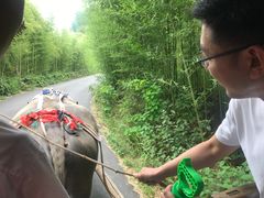 -杭州双溪漂流景区
