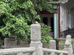 -洛阳白马寺