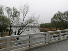 -大兴滨河森林公园