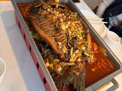 -美蛙四季(望京凯德茂店)