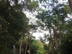 -鸿山公园