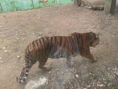 -栾川竹海野生动物园