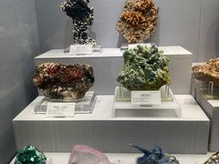-湖南省地质博物馆