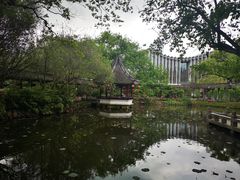 -上海醉白池公园