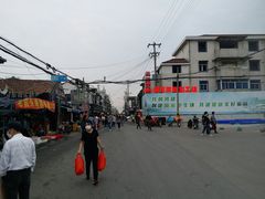 -芦潮港集贸市场