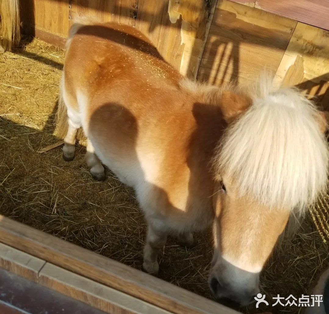 春天马术🏇🏻知道一下！