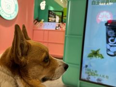 -gleeglee乐溢亦茶(合生汇店)