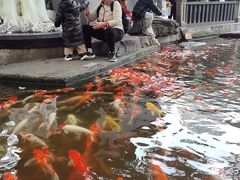 -观音桥步行街