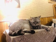 -隅cafe(傅厚岗店)