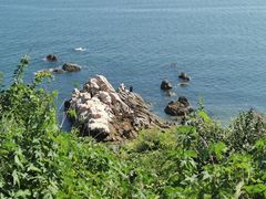 -养马岛旅游度假区