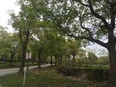 -东方绿舟景区
