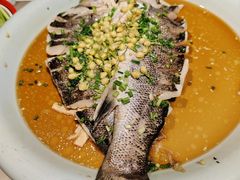 -小吊梨汤·北京菜·烤鸭(清河万象汇店)