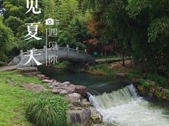 -杭州植物园