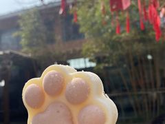 -苏州太湖国家湿地公园