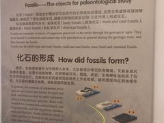 -辽宁古生物博物馆