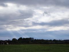 -盐城丹顶鹤湿地生态旅游区