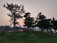 -小麦岛公园