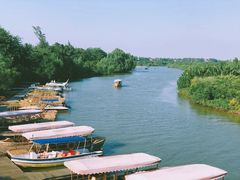 -东寨港红树林旅游区