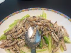 -新光酒家·河豚·海鲜·蟹料理(浦东店)