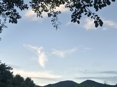 -岭下农庄·农家菜·野生大头鱼·公司团建(福永凤凰山店)
