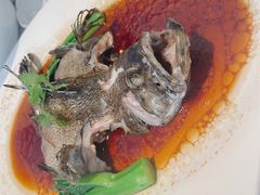 大珍珠龙趸-顺峰(农展馆店)