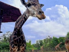 -济南野生动物世界