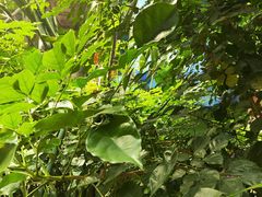 -波塞冬旅游度假区