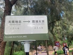 -大京沙滩