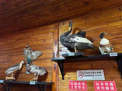 -南京金牛湖风景区