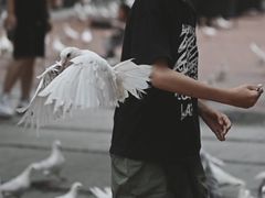 -王府井奥莱临潼小镇(临潼店)