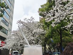-玛格萝妮比萨屋(四平店)