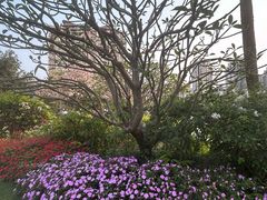 -四海公园(南山区)