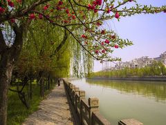 -运河游船(武林门码头)