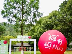 -宝岩生态观光园